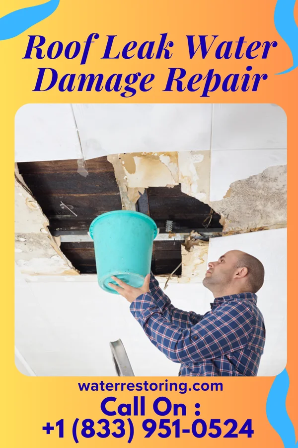 Roof Leak Water Damage Repair in St. Charles, MI
