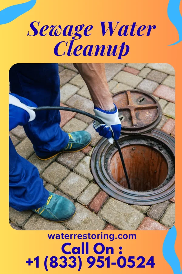 Sewage Water Cleanup in St. Charles, MI